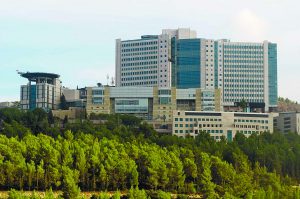 המרכז הרפואי הדסה עין כרם בירושלים (צילום: אבי חיון)