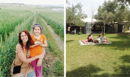 חוויה טעימה למשפחות בחוות הזיתים אלאדין