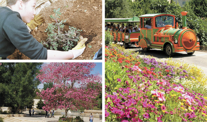 הגן הבוטני בירושלים: מציינים את חודש הקיימות