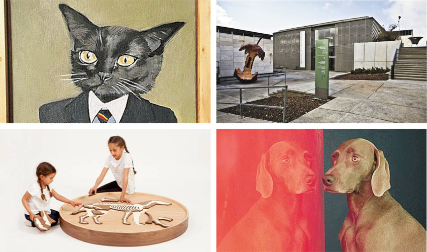אתם אנשים של כלבים או חתולים? תערוכה חדשה במוזיאון ישראל