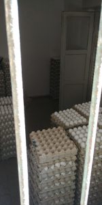 ביצים מוברחות נתפסו במרכז העיר (צילום: דוברות המשטרה)