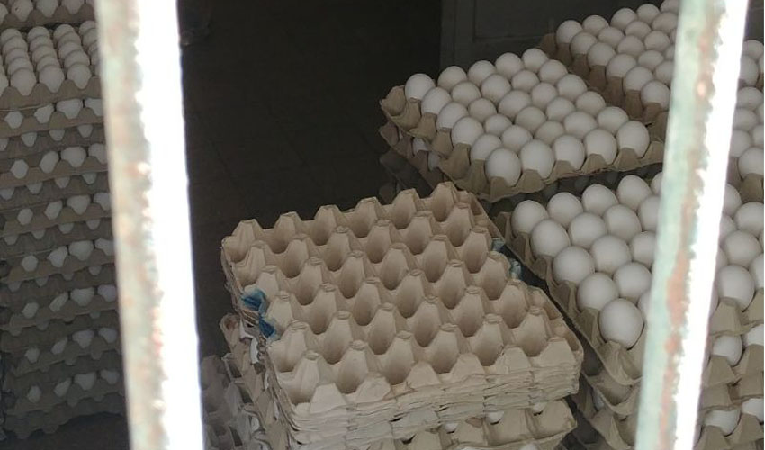 ביצים מוברחות בירושלים (צילום: דוברות המשטרה)