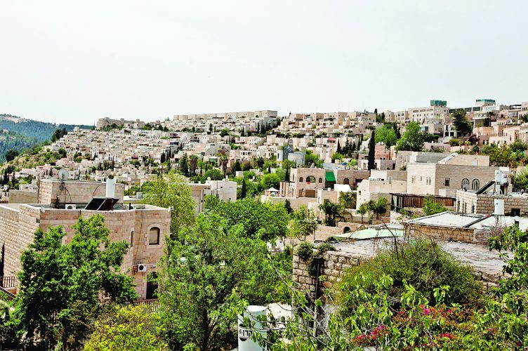 שכונת מלחה (צילום: מגד גוזני)
