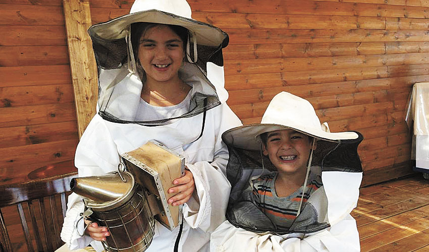 על הדבורים ועל הדבש: אטרקציה לילדים במרכז "הכוורת" בבית חורון