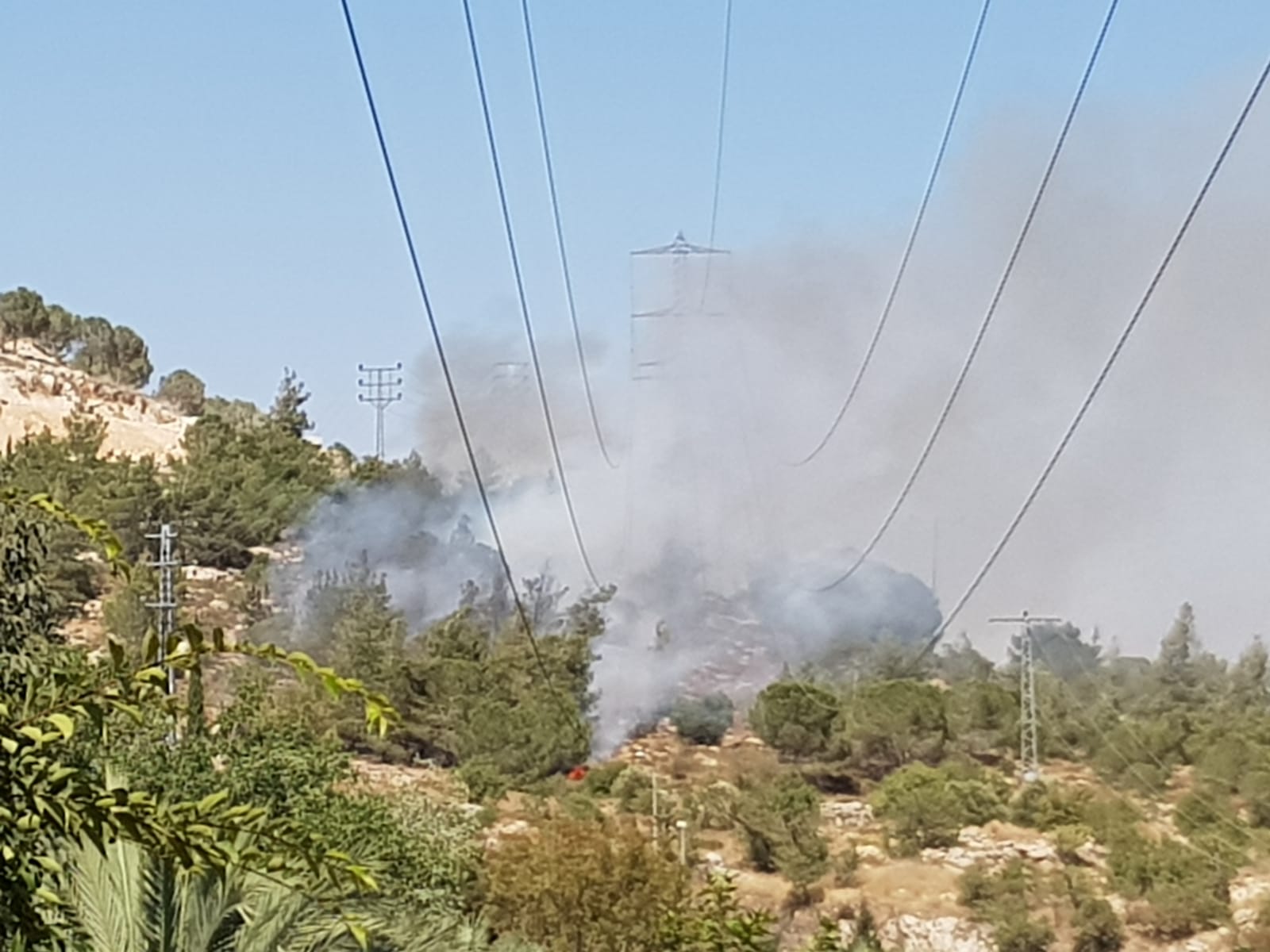 השריפה סמוך לגן החיות התנ"כי (צילום: דוברות כבאות והצלה ירושלים)