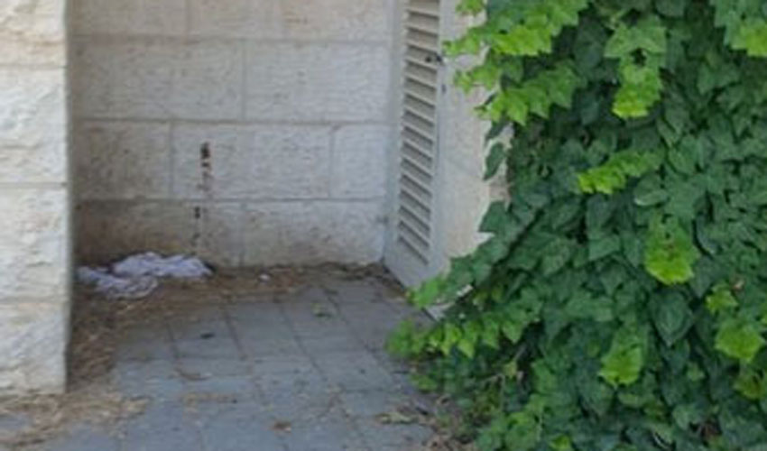 הפסטורליה של רמת בית הכרם נעצרת ברחוב שרייבום: שתן וצואת אדם מתחת לחלונות הבתים