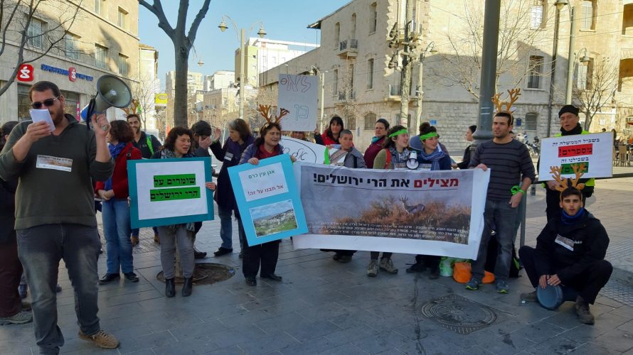 הפגנת המתנגדים נגד התוכנית להקמת מכללות צה"ל בעין כרם (צילום: דב גרינבלט, החברה להגנת הטבע)