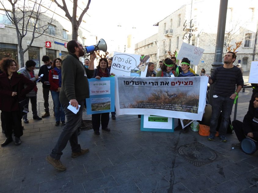 הפגנת המתנגדים נגד התוכנית להקמת מכללות צה"ל בעין כרם (צילום: דב גרינבלט, החברה להגנת הטבע)