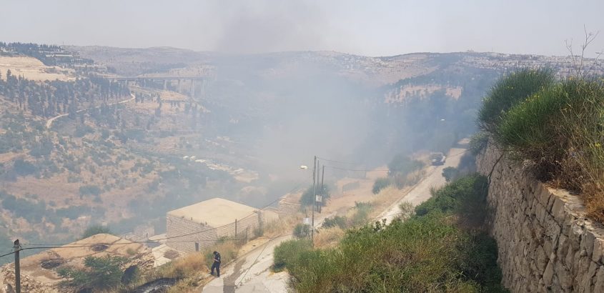 השריפה בליפתא (צילום: כבאות והצלה ירושלים)