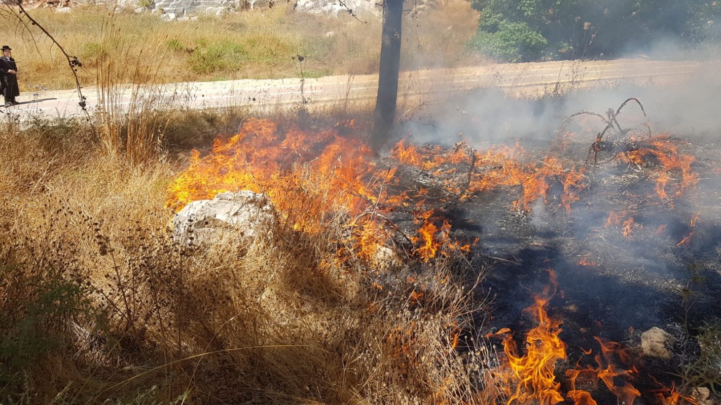 שריפה בוואדי בין רמות לרמת שלמה (צילום: דוברות כבאות והצלה ירושלים)