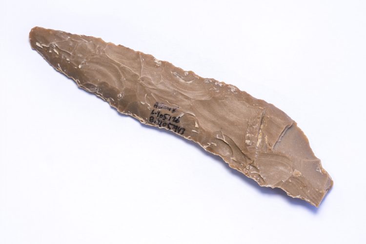 אלפי סכינים עשויים צור נמצאו באתר (צילום: יניב ברמן, רשות העתיקות)