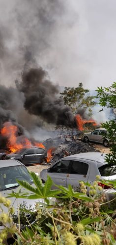 כלי הרכב שעולים באש במלחה (צילום: שלומי פורוש)