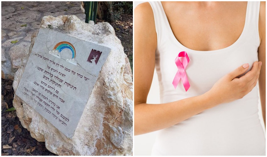 חודש המודעות לסרטן השד, פינת ההנצחה ללידות שקטות בגן החיות התנ"כי (צילומים: הילה כהן אייס, אילוסטרציה א.ס.א.פ קריאייטיב INGIMAGE)