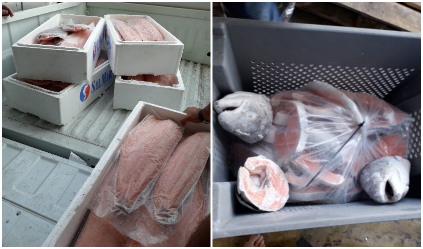 הסחורה שהושמדה ממחסן "דויד דגים" ברחוב אגריפס (צילום: דוברות משרד הבריאות)