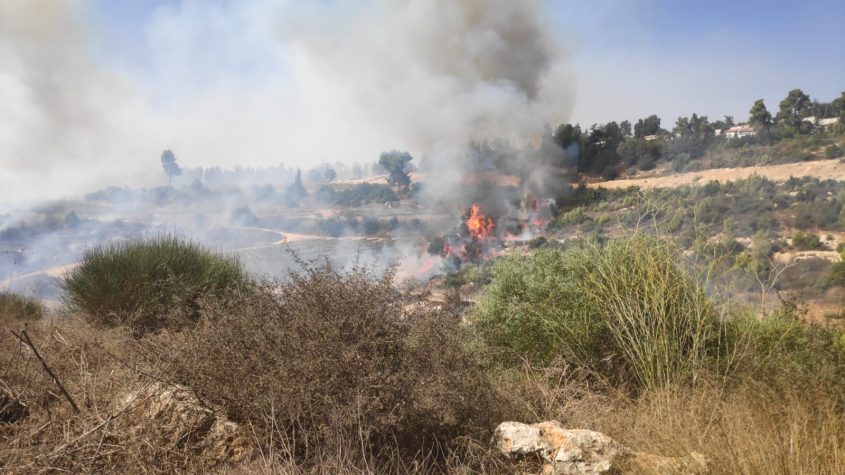 השריפה סמוך לקרית ענבים (צילום: כבאות והצלה לישראל)