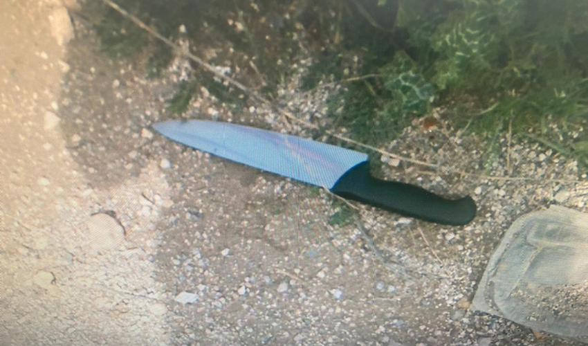 הסכין שנתפסה היום במעבר מזמוריה (צילום: דוברות המשטרה)