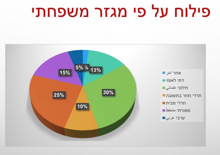 נגע הסמים בירושלים - פילוח לפי מגזרים. צילום מסך