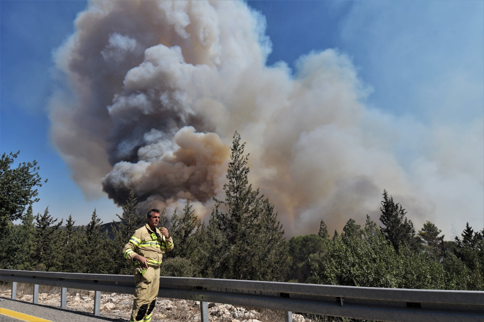 השריפה בהרי ירושלים (צילום: דודו בן אור)