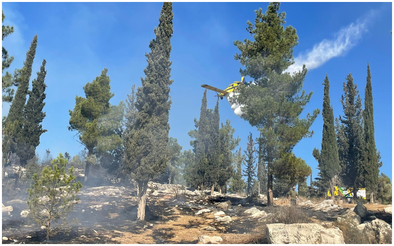 השריפה השבוע ביער אשתאול (צילום: כבאות והצלה ירושלים)