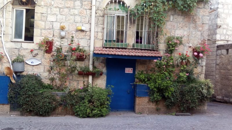 בית אופיני בשכונת אבן ישראל (צילום: אדם אקרמן)