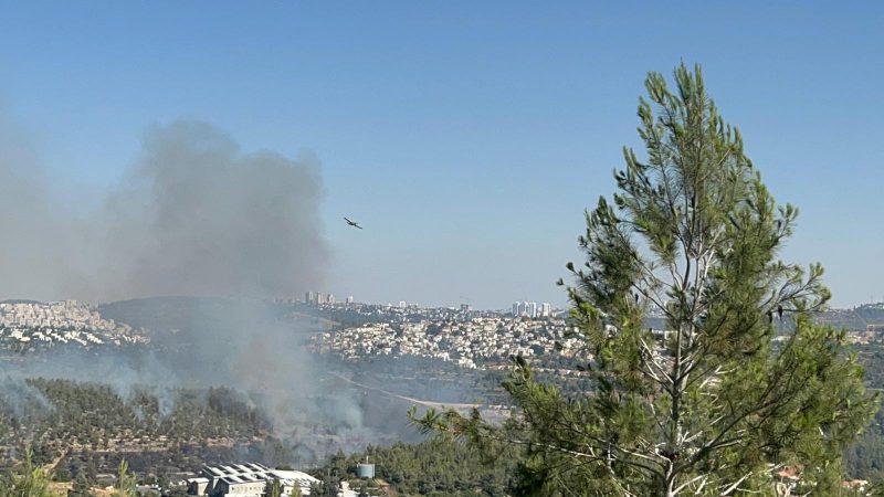 השריפה בהרי ירושלים (צילום: דוברות המשטרה)
