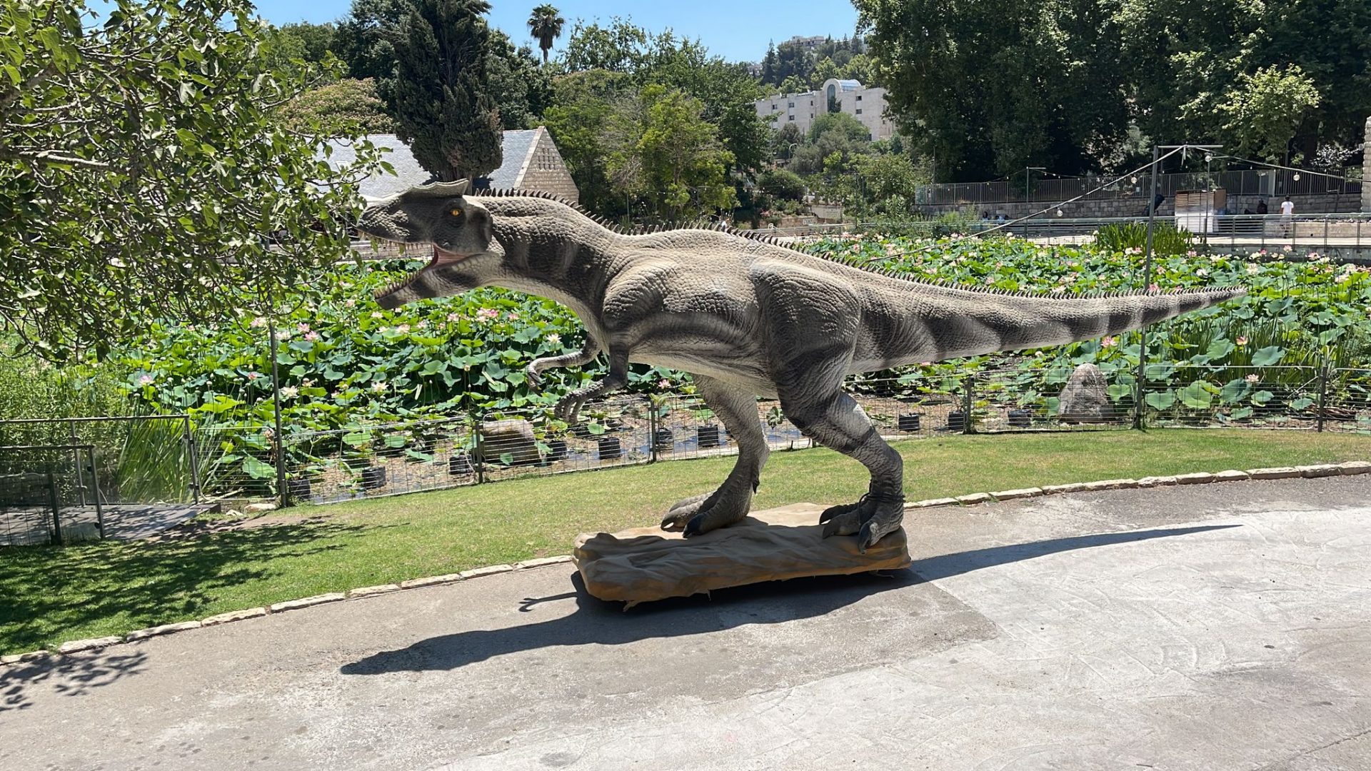 בוטניזאור בגן הבוטני (צילום: און ארביב)