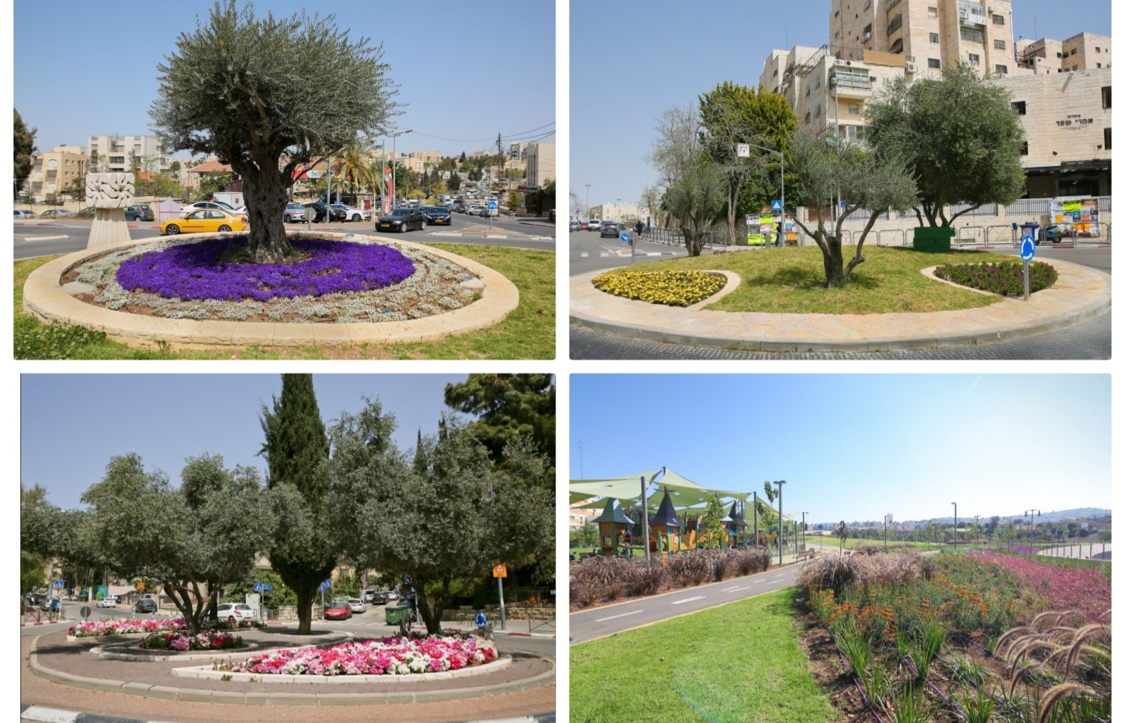 עם סיום שנת השמיטה – למעלה מ-340,000 פרחים עונתיים וכ-10,000 עצים יישתלו ויינטעו בירושלים