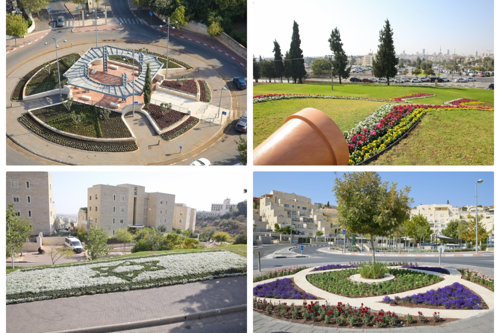 מי הכי יפה בירושלים? תחרות הגינה היפה בכיכרות, במפרדות ובאיי תנועה יוצאת לדרך