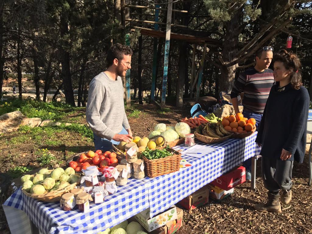 מוסמכים להצלת מזון: כ-25 ירושלמים הוכשרו להקמת והפעלת באסטות ושווקי קיימות קהילתיים בשכונות העיר