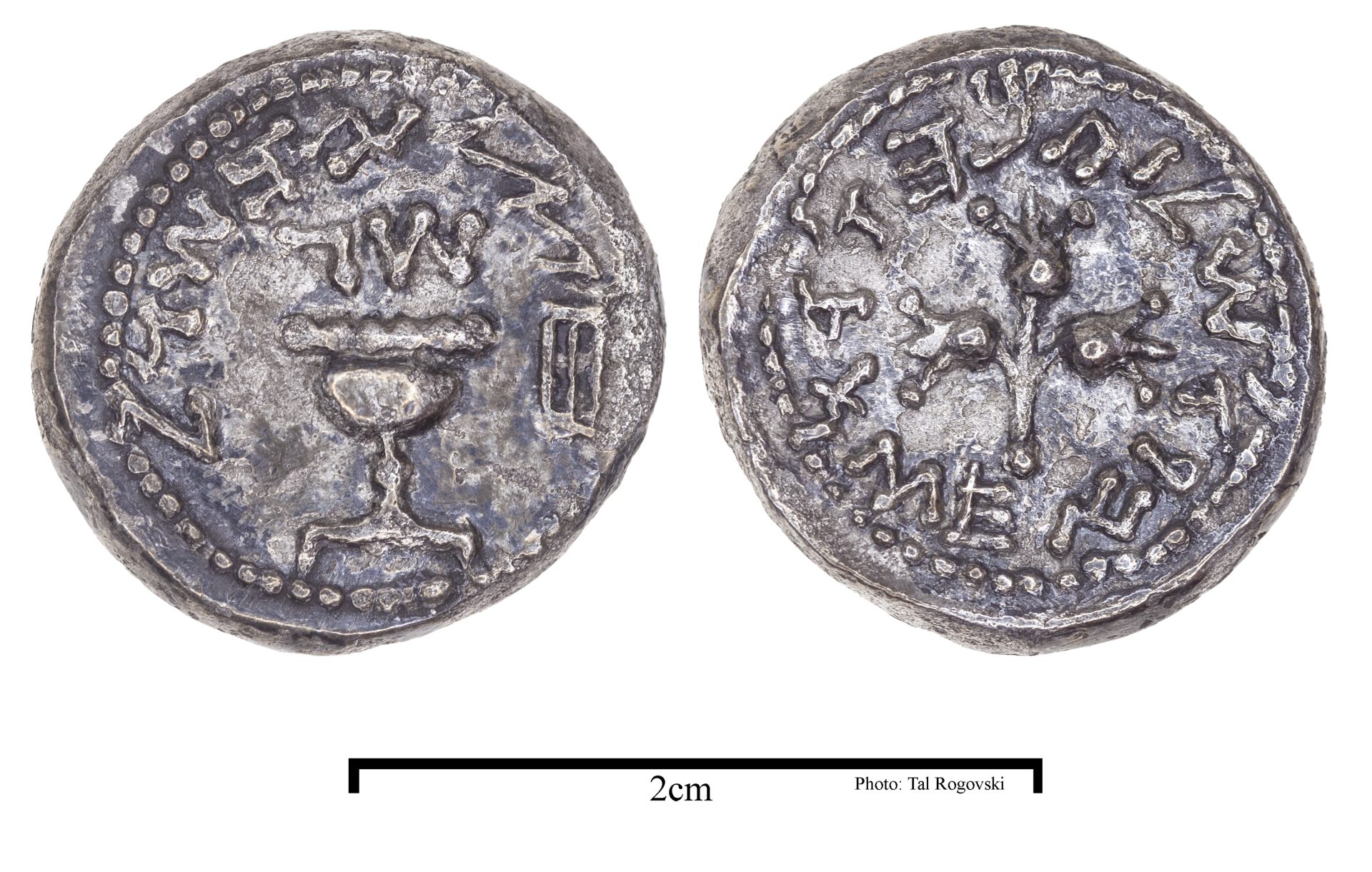 נדיר במיוחד: מטבע של חצי שקל מימי המרד הגדול התגלה בחפירות העופל בירושלים