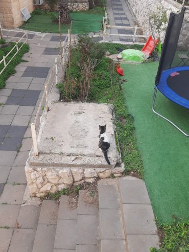 מערת תלפיות החתומה בין חצרות בתים ברחוב דב גרונר (צילום: אדם אקרמן)