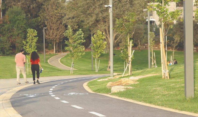 שביל אופניים בפארק אלמליח (צילום: ארנון בוסאני)