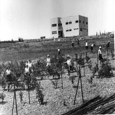 חוות הלימוד החקלאית בתלפיות (צילום: באדיבות יד בן צבי)