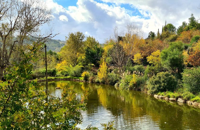 גן החיות התנ״כי (צילום: באדיבות גן החיות התנ״כי)