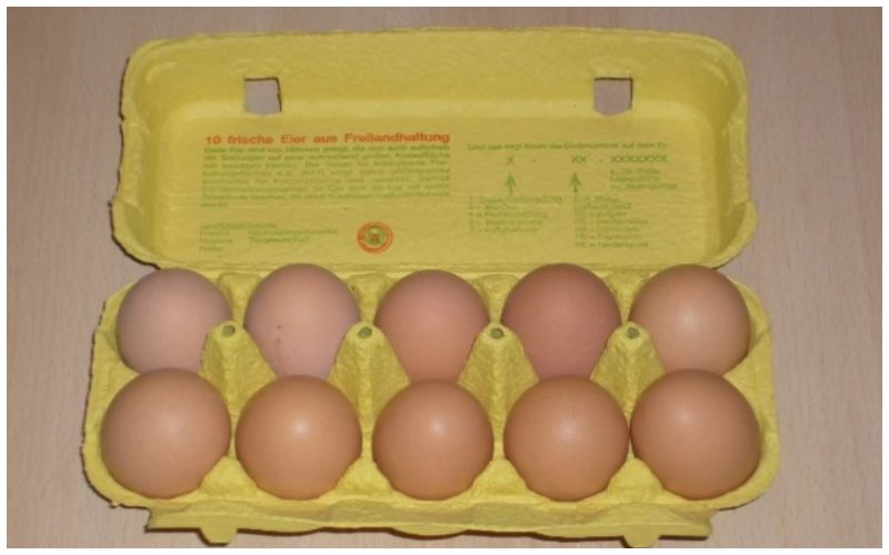 תבנית ביצים (צילום: Schneelocke, CC BY-SA 3.0, ויקישיתוף)