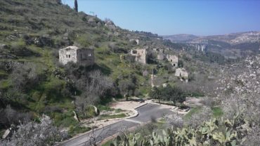 אתר הטבע העירוני ליפתא (צילום: אורטל צבר)
