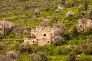 אתר הטבע העירוני ליפתא (צילום: אורטל צבר)