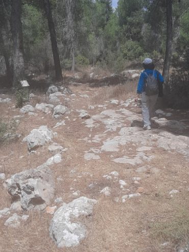 דרך עולי הרגל הקדומה (צילום: אדם אקרמן)