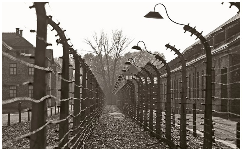 מחנה ההשמדה אושוויץ (צילום: posztos/depositphotos.com)