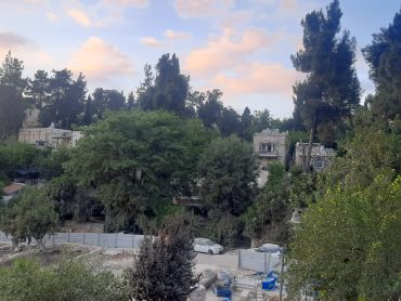 הנוף הנשקף מהבית של הגנרל גורדון בעין כרם (צילום: אדם אקרמן)