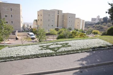 מגן דוד מפרחים (צילום: ארנון בוסאני)