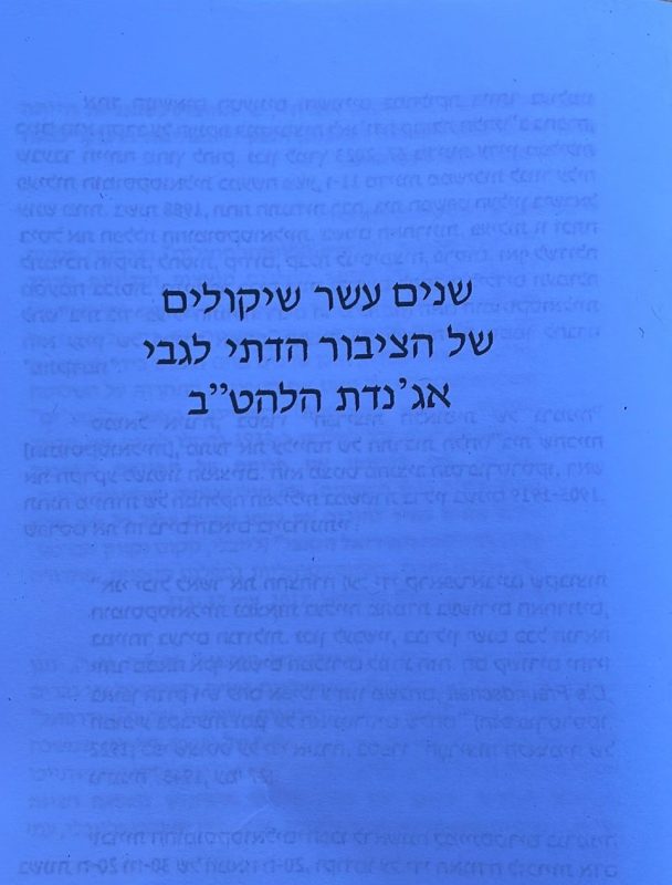 חוברת ההסתה שחולקה בתיבות הדואר בהר חומה (צילום: באדיבות המצלם)