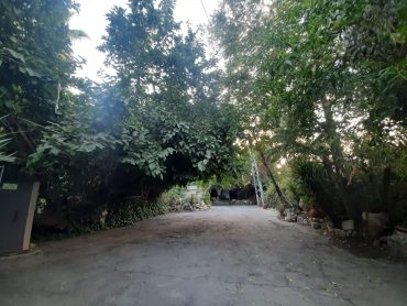 חצר הבית שבו התגורר הגנרל גורדון (צילום: אדם אקרמן)