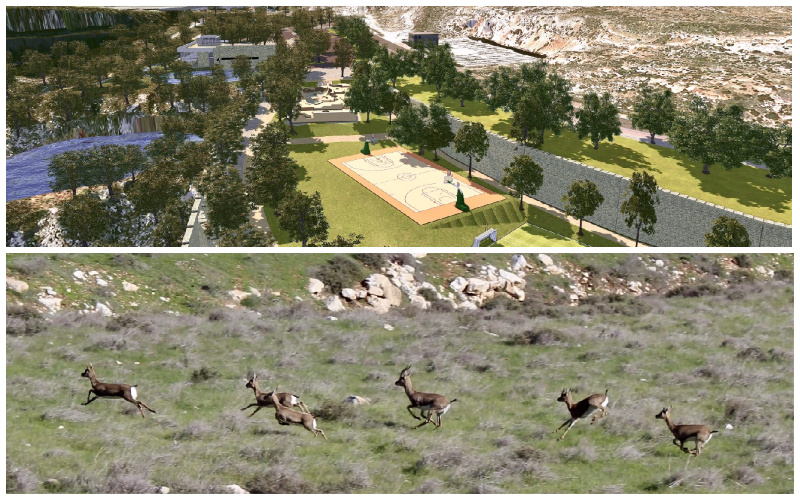 עמק הצבאים של צפון ירושלים: אושרה התוכנית להקמת פארק ענק בנחל זימרי