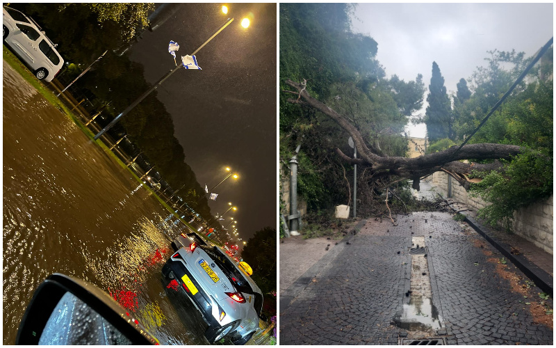 העץ שקרס ברחוב כרמיה, שלוליות ענק בדרך רופין (צילומים: באדיבות המצלם, חברת החשמל)