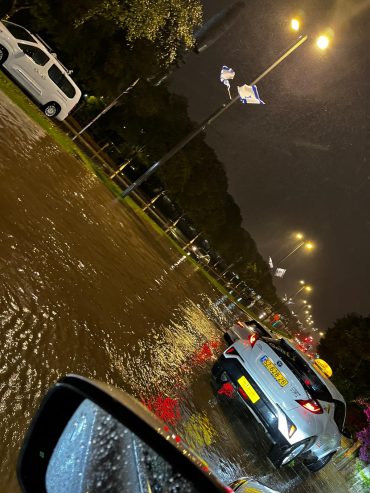 שלוליות ענק ברחוב רופין (צילום: באדיבות המצלם)