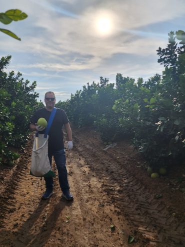 ערן רופאלידיס בקטיף פומלות בדרום (צילום: אלבום פרטי)
