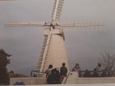 טחנת הקמח המחודשת (צילום: אדם אקרמן)