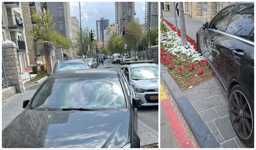 העבירה החמורה של הרס הצמחיה (מימין), והרכבים מאחור שרק חוסמים מדרכה (צילום: עיריית ירושלים)