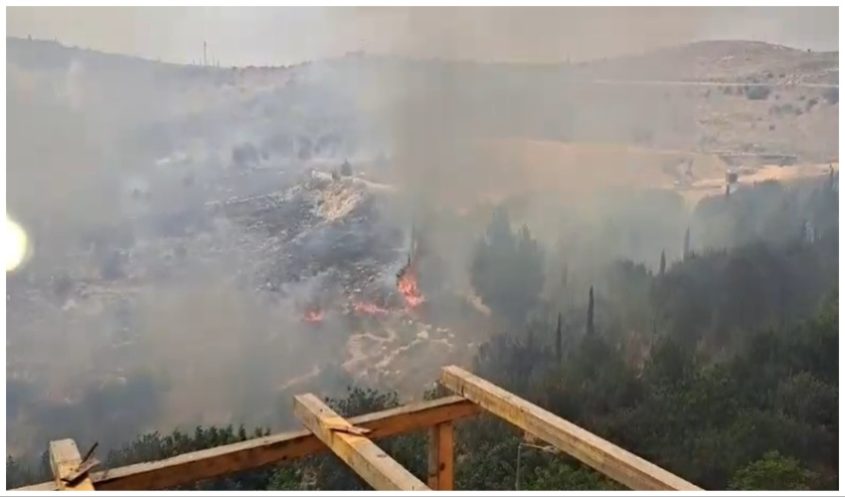 השריפה בהר חומה (צילום: אלי ברקוביץ)